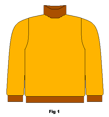 Polo neck sweater