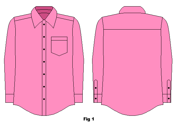 Regular button-down dress shirt, front and back 