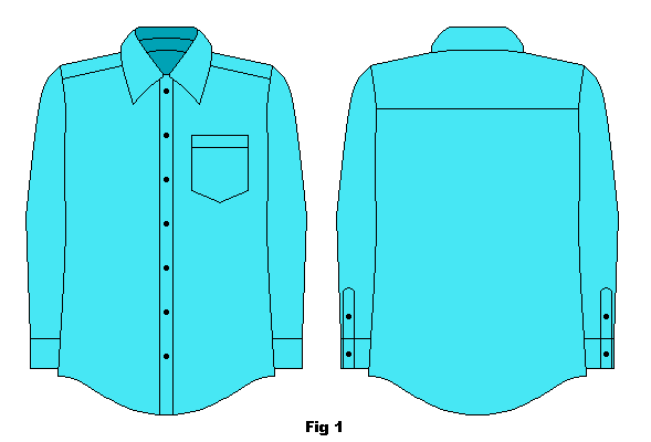 Regular button-down dress shirt, front and back